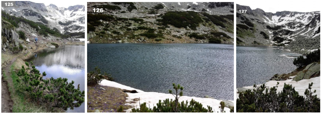 אגם Dalgoto ezero